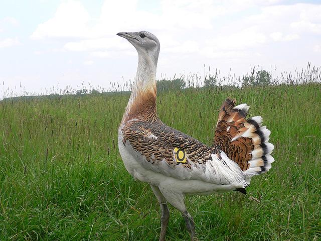 Látnivalók, nevezetességek